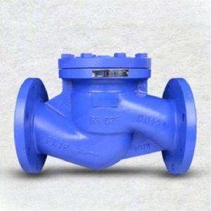 DIN Lift Check Valve